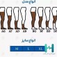 7016 جوراب واريس BD_XL سماطب