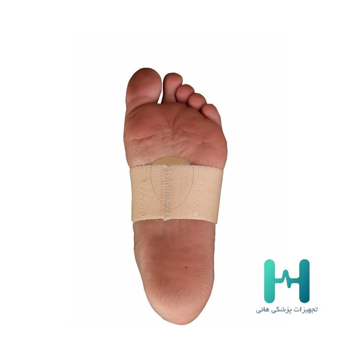 6035  پد متاتارسال سماطب
